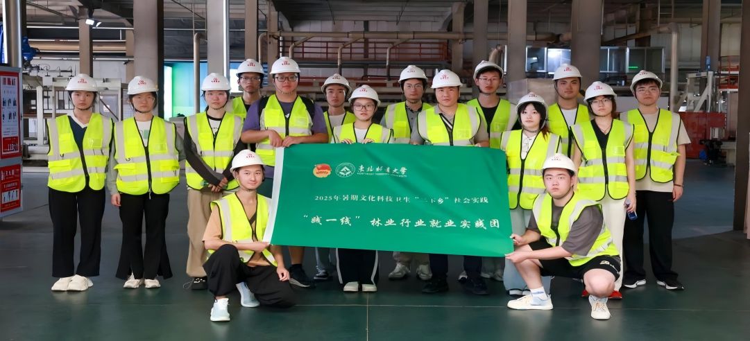 東北林業大學“踐一線”林業行業就業實踐團走進新港集團，共繪產教融合新圖景！